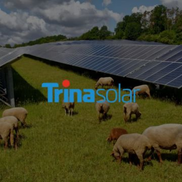 Trina Solar EMEA